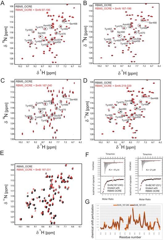 Figures And Data In Structural Basis For The Recognition Of ...