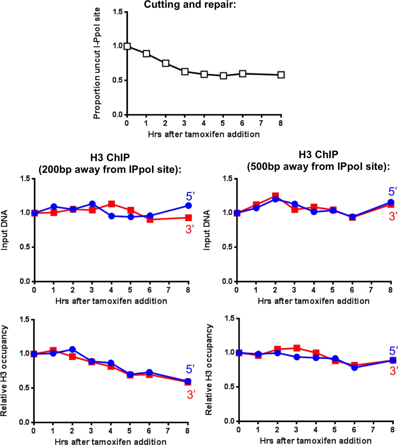 Tamoxifen on-line