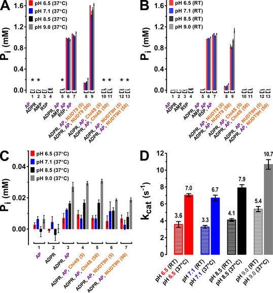 activity 2 receptor potential Heart beta-blockers bind to beta-adrenoceptors located in cardiac nodal tissue, the conducting system, and contracting myocytesthe heart has both β 1 and β 2 adrenoceptors, although the predominant receptor type in number and function is β 1these receptors primarily bind norepinephrine that is released from sympathetic adrenergic nerves. activity 2 receptor potential Heart beta-blockers bind to beta-adrenoceptors located in cardiac nodal tissue, the conducting system, and contracting myocytesthe heart has both β 1 and β 2 adrenoceptors, although the predominant receptor type in number and function is β 1these receptors primarily bind norepinephrine that is released from sympathetic adrenergic nerves.