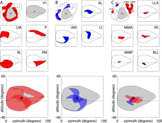 An extended retinotopic map of mouse cortex | eLife