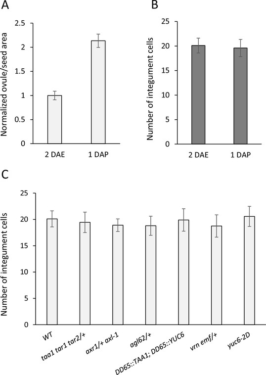 Figures And Data In Auxin Production In The Endosperm Drives Seed Coat