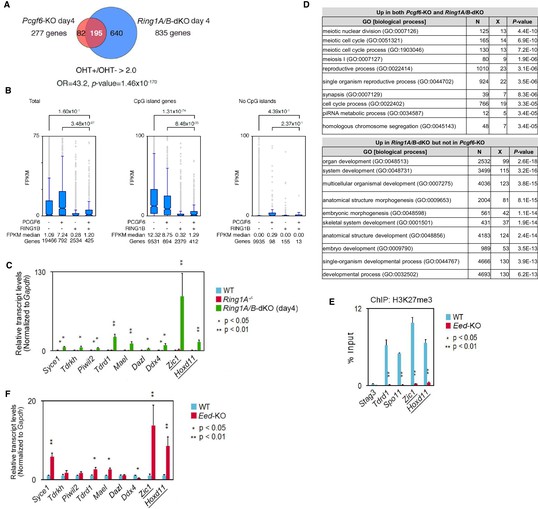 Figures and data in PCGF6-PRC1 suppresses premature differentiation of ...