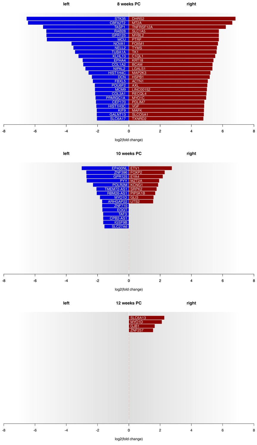 Epigenetic Regulation Of Lateralized Fetal Spinal Gene - 