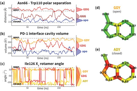 Probing protein flexibility reveals a mechanism for selective promiscuity | eLife