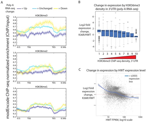 axis log2 reveals a replacement post gene Histone transcriptional