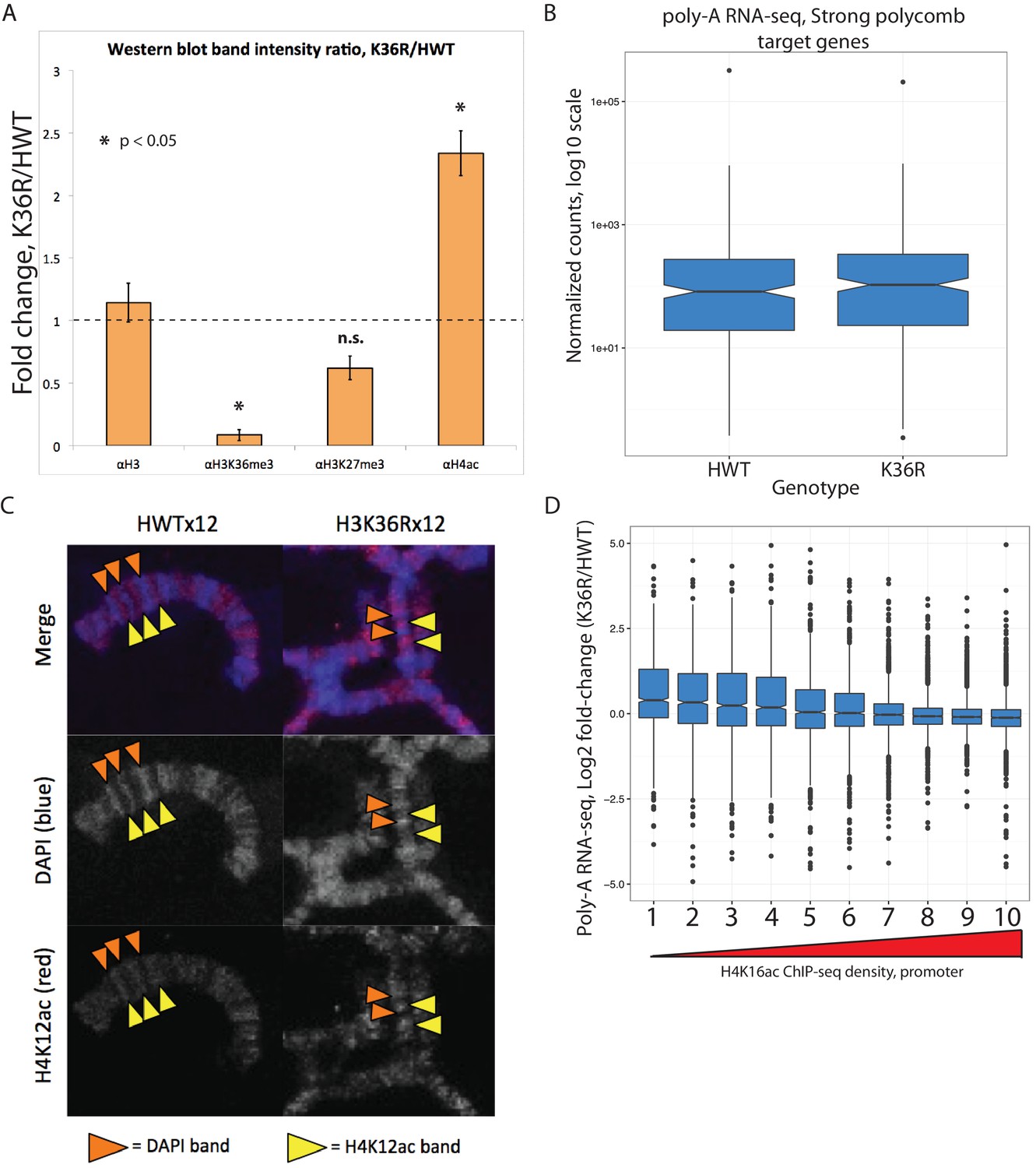 change log2 r fold data replacement in gene Histone a reveals and Figures