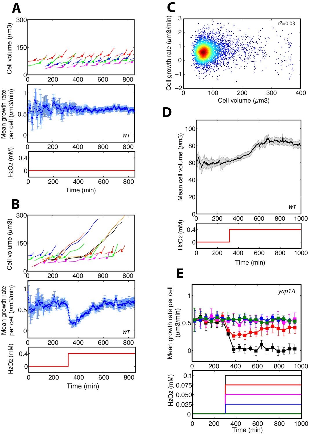 homesotatic plasticity Combinations of stroke neurorehabilitation to facilitate motor recovery: perspectives on hebbian plasticity and homeostatic metaplasticity. homesotatic plasticity Combinations of stroke neurorehabilitation to facilitate motor recovery: perspectives on hebbian plasticity and homeostatic metaplasticity.