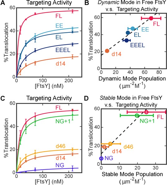 Two Step Membrane Binding By The Bacterial Srp Receptor Enable