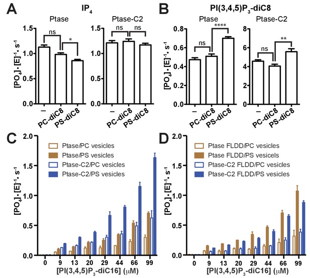 Structural Basis For Interdomain Communication In Ship2 Providing High Phosphatase Activity Elife