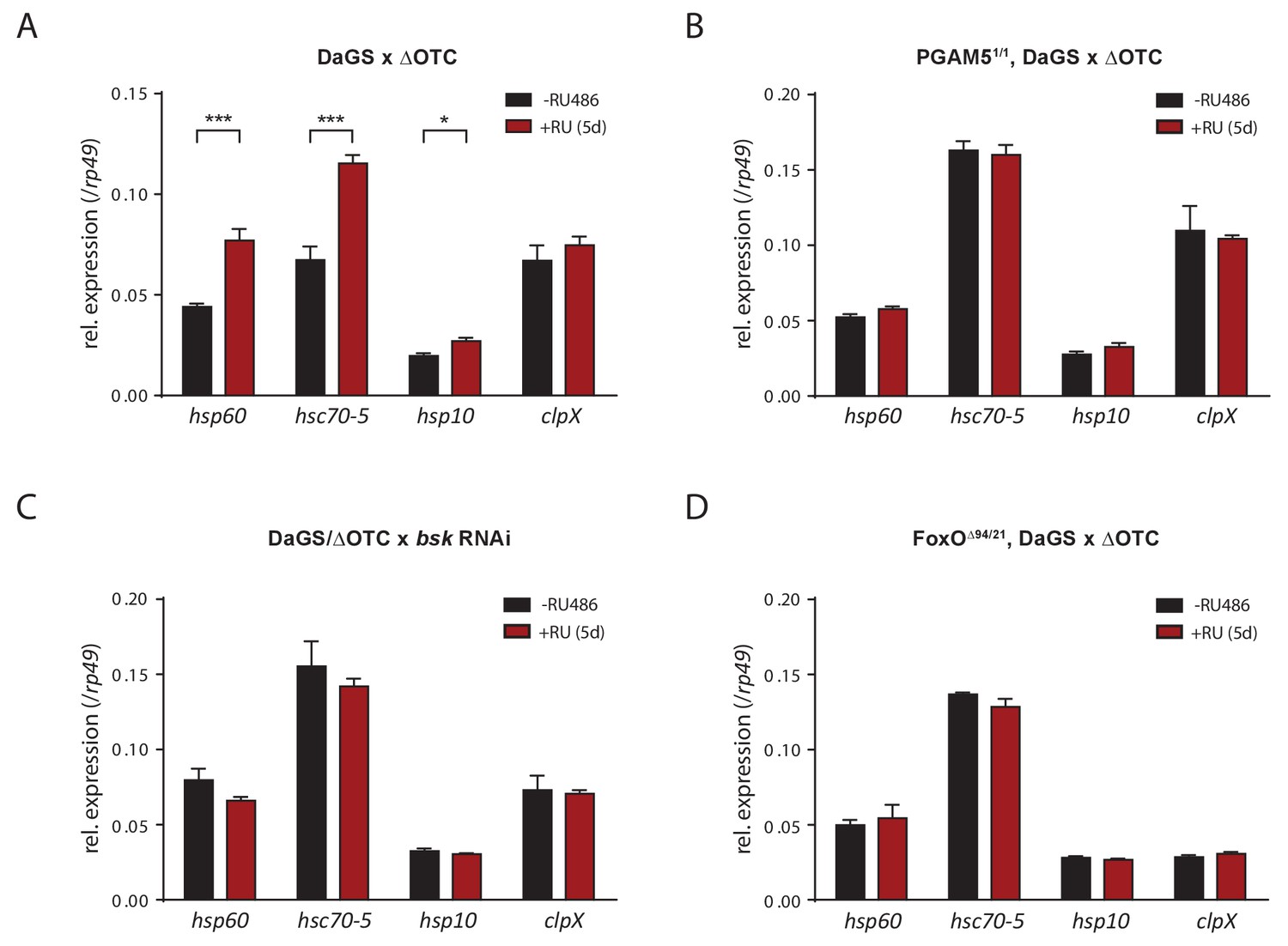 Pgam5 Promotes Lasting Foxo Activation After Developmental Activation Of Uprmt Markers By Δotc Expression