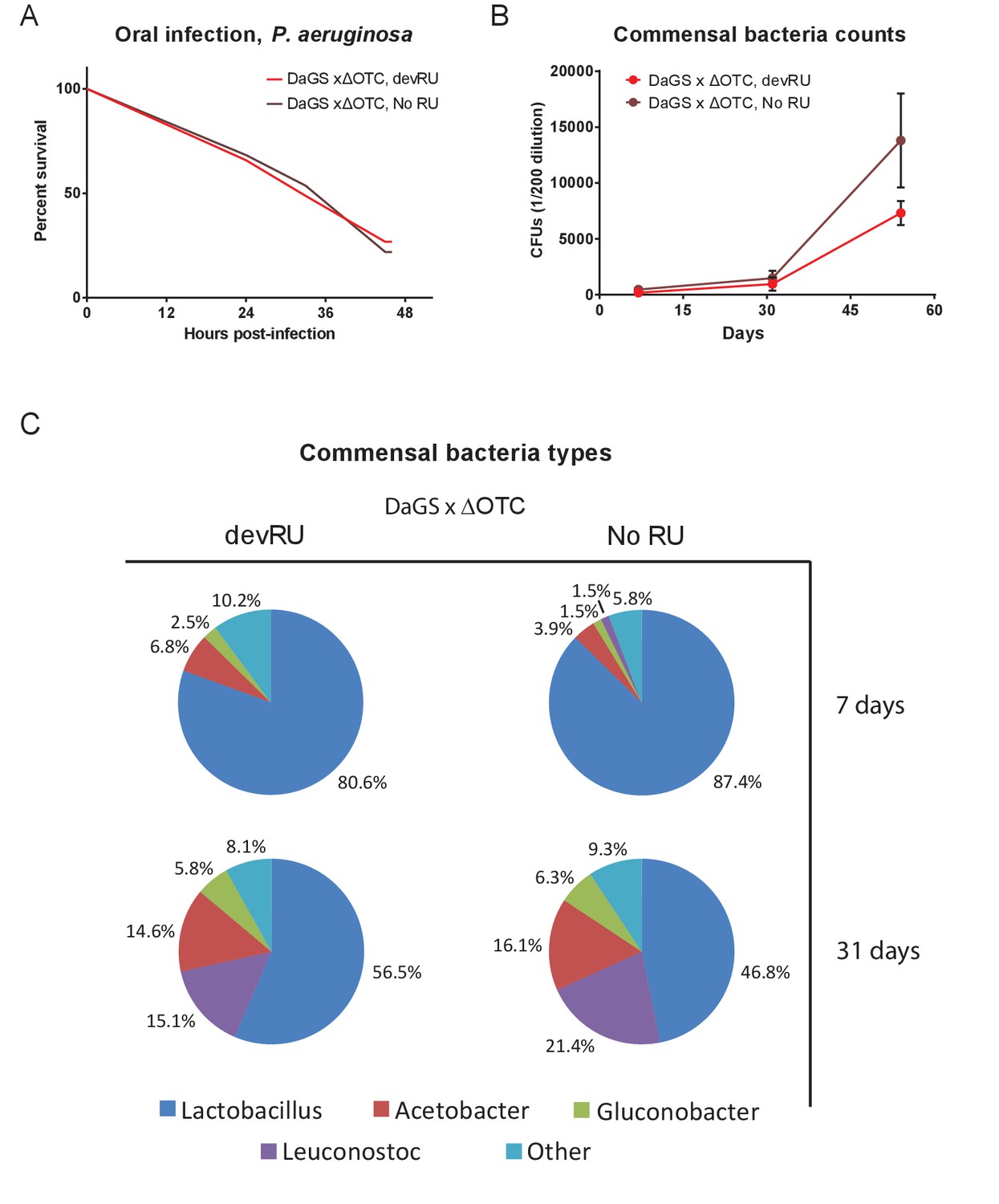 Pgam5 Promotes Lasting Foxo Activation After Developmental Developmental Δotc Expression Does Not Produce Long Term Changes In Pathogen Resistance Or To The Microbiome