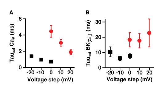 Figures And Data In Proximal Clustering Between Bk And Cav Channels