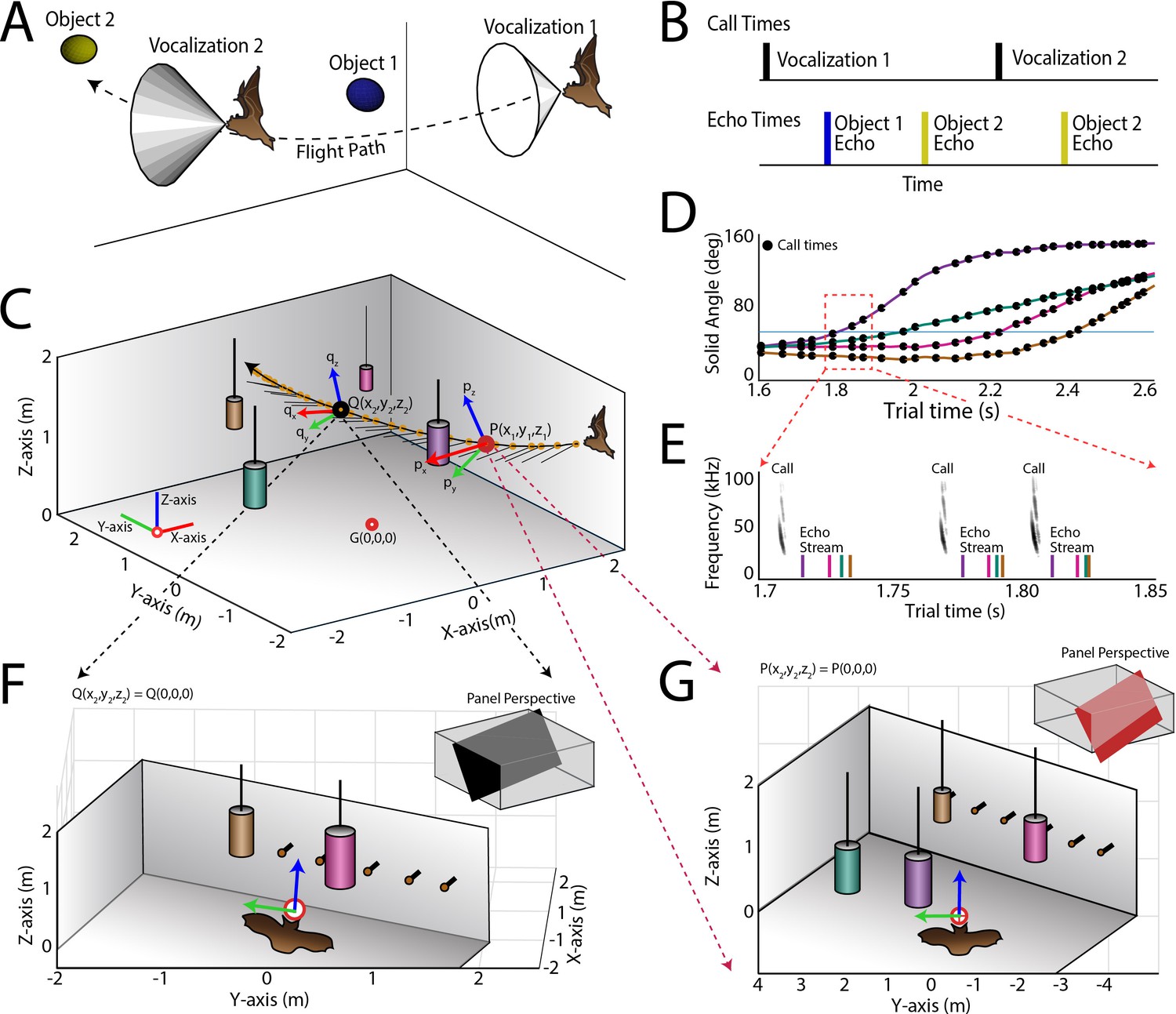 bat auditory sensitivity bat auditory sensitivity