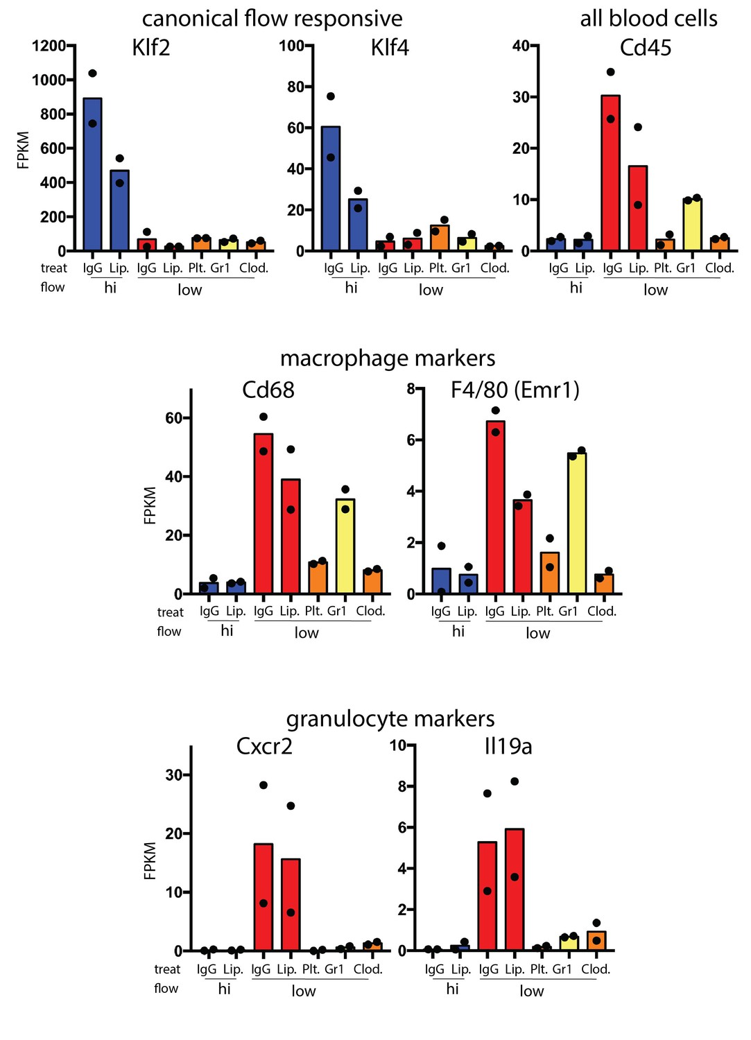 alternative rna splicing in