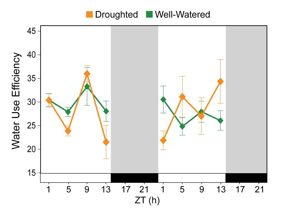 Soil water measurement plant responses and breeding for drought resistance
