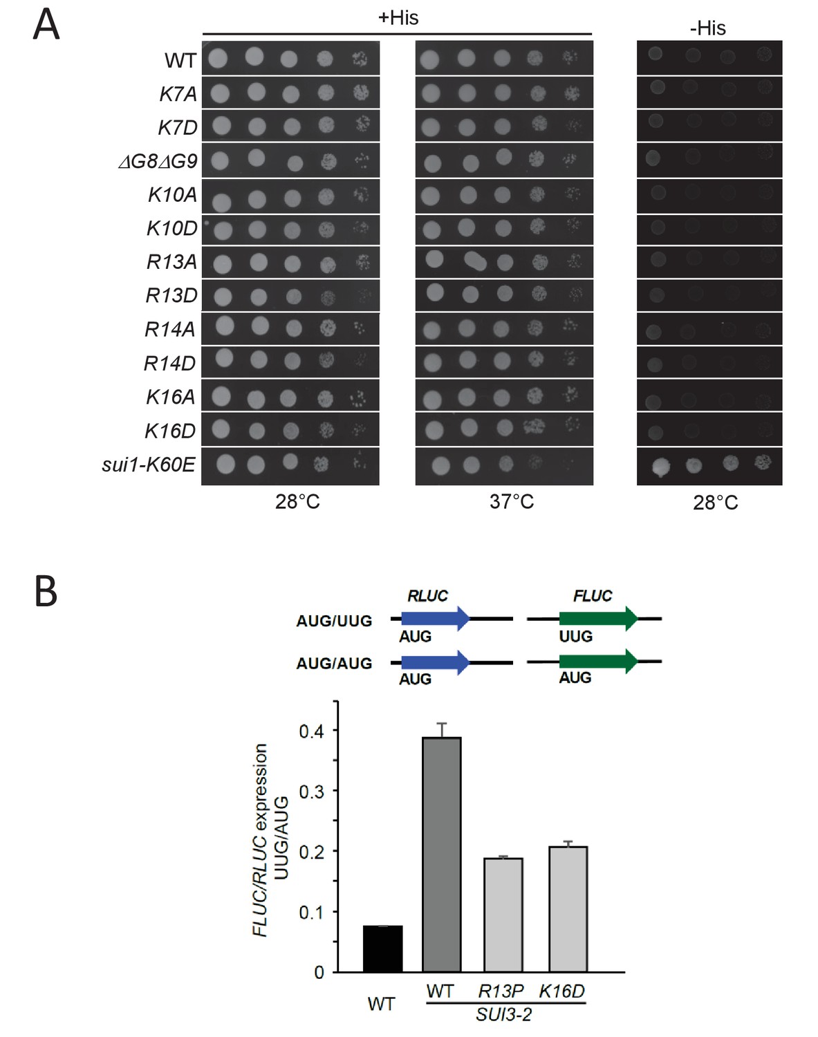 Figures And Data In Eif1a Residues Implicated In Cancer Stabilize Translation Preinitiation Complexes And Favor Suboptimal Initiation Sites In Yeast Elife