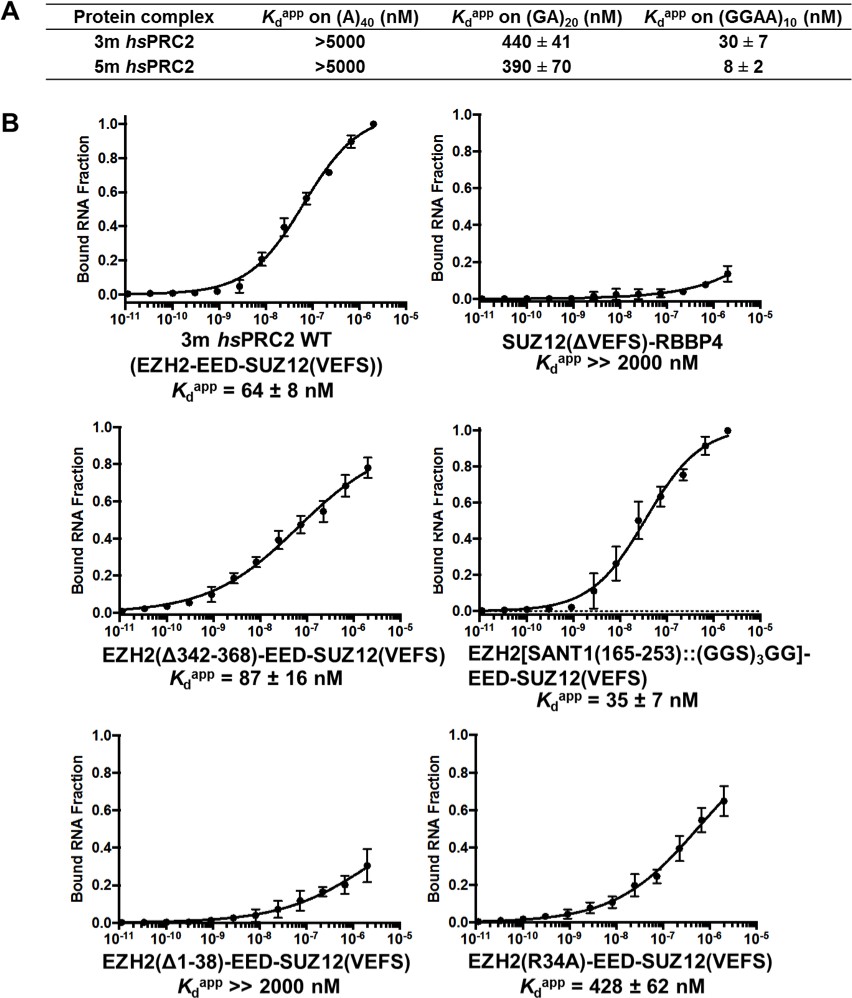 Conserved Rna Binding Specificity Of Polycomb Repressive