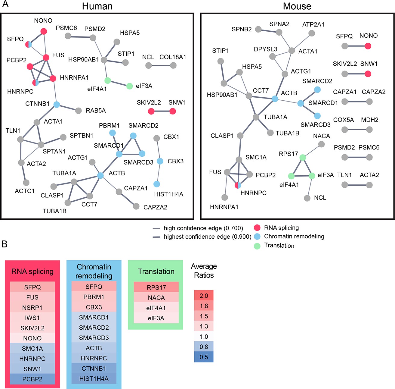 Role Of The Visual Experience Dependent Nascent Proteome In