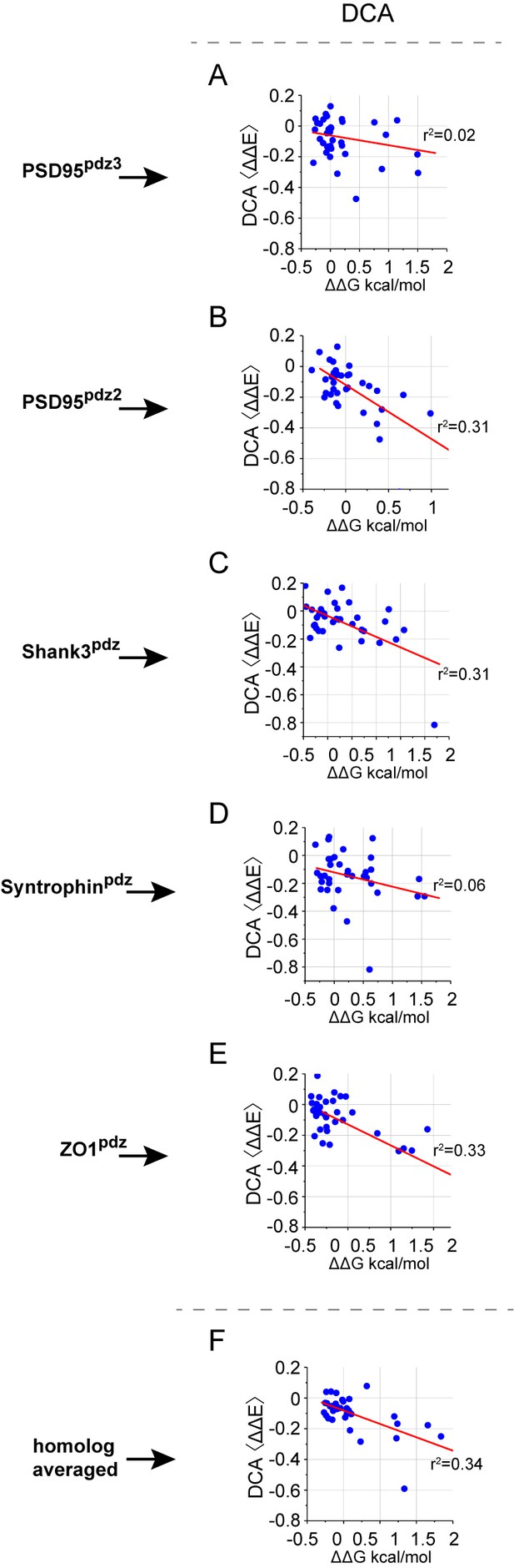 Coevolution Based Inference Of Amino Acid Interactions Underlying