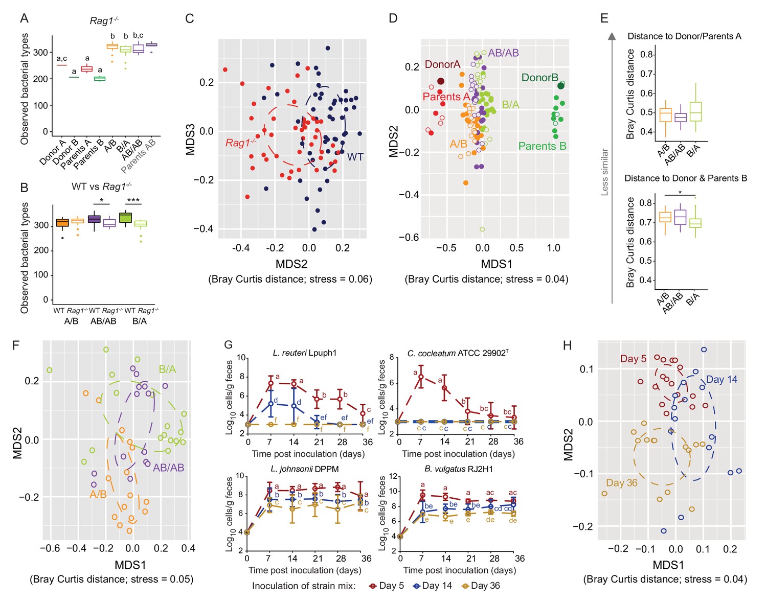 Experimental Evaluation Of The Importance Of Colonization History In Early Life Gut Microbiota Assembly Elife
