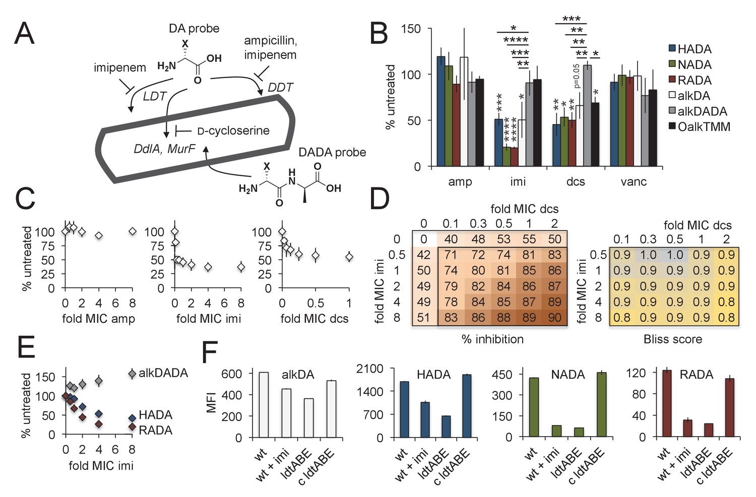 Peptidoglycan Precursor Synthesis Along The Sidewall Of Pole - 