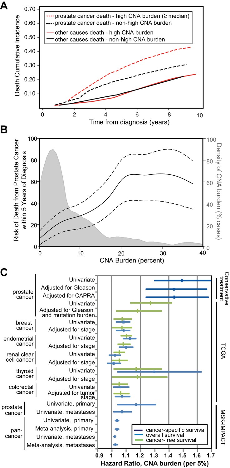 Tumor Copy Number Alteration Burden Is A Pan Cancer - 