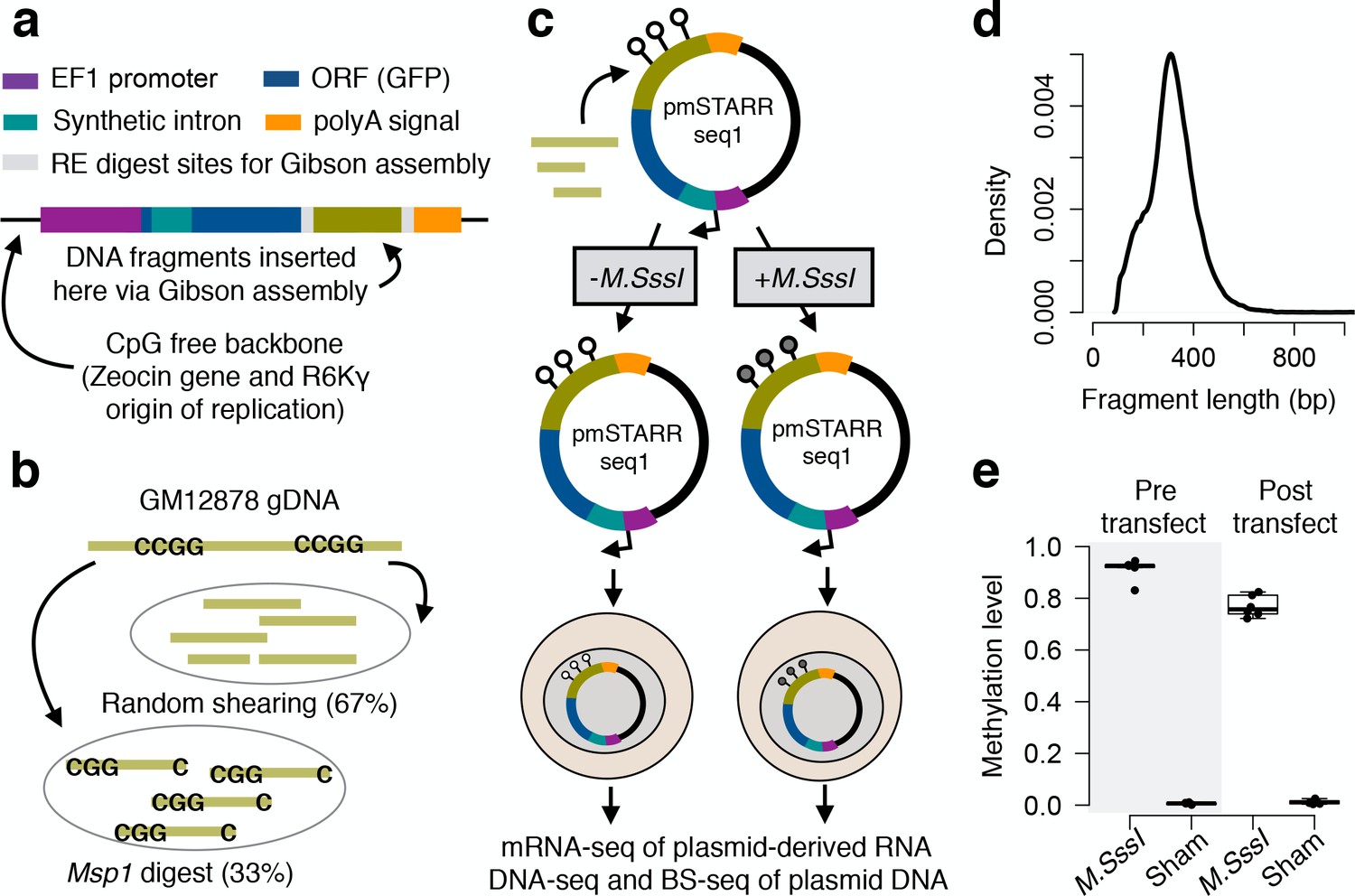 Genome-wide quantification of the effects of DNA methylation on human.