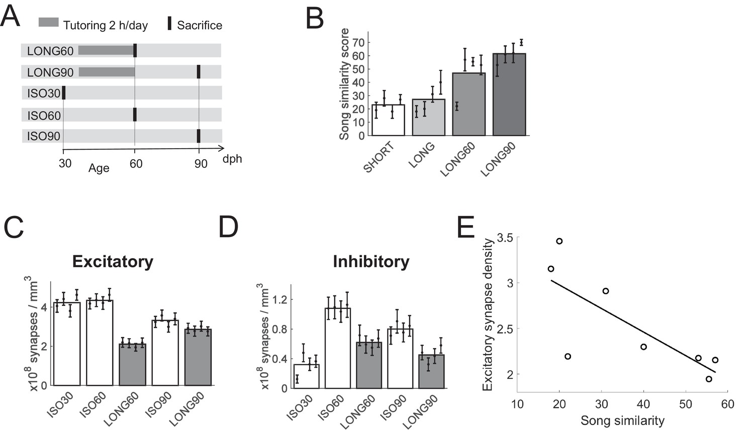 Excitatory And Inhibitory Synapse Reorganization Immediately After