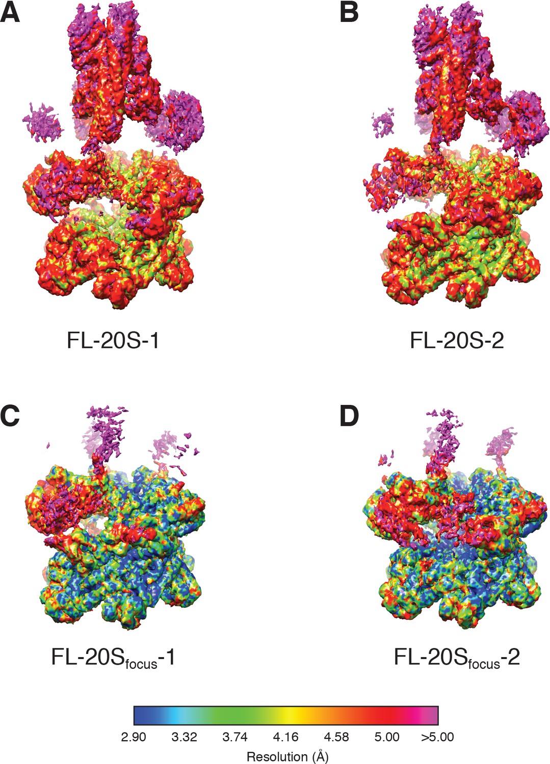 Figures And Data In Structural Principles Of Snare Complex Recognition By The a Protein Nsf Elife