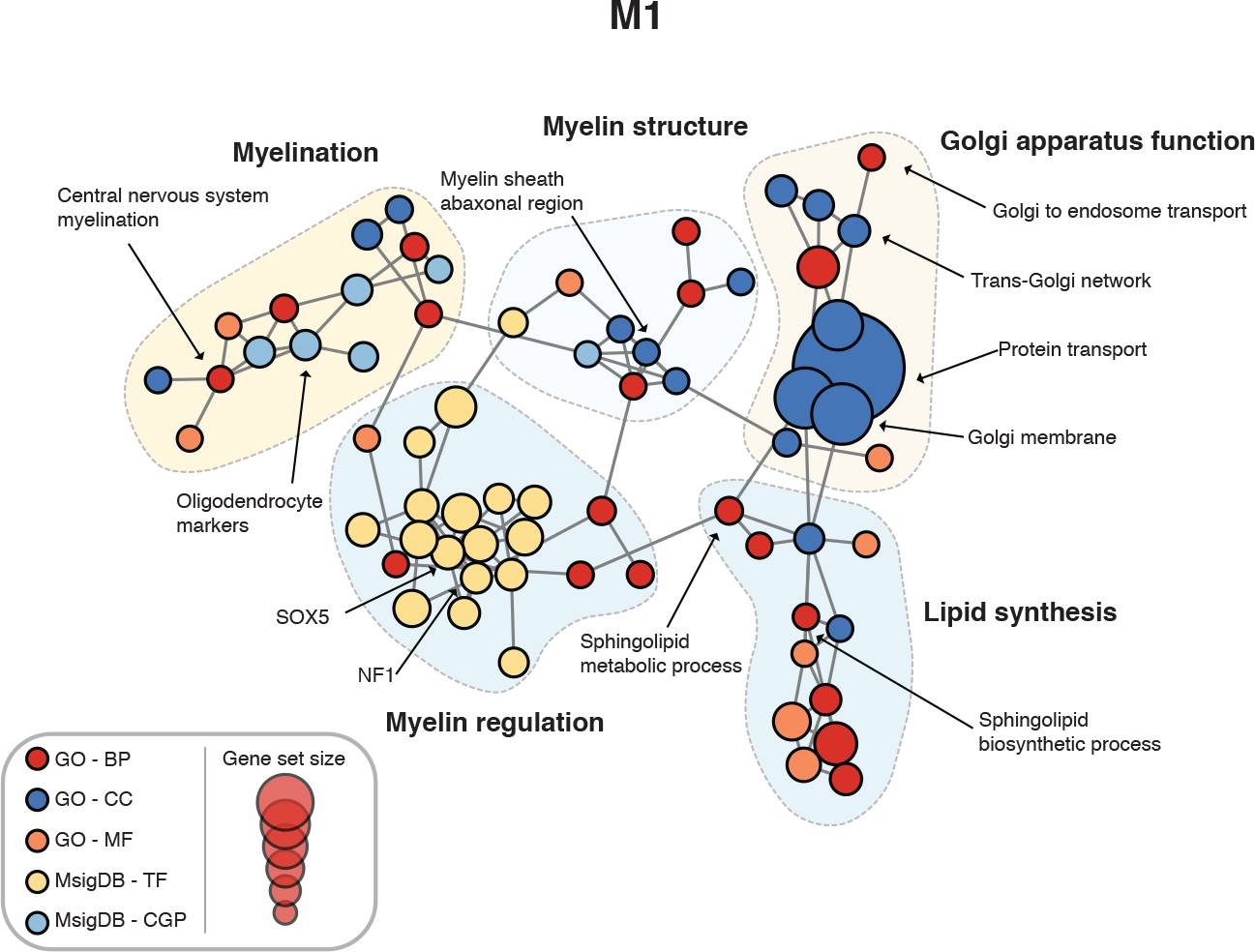 Studies Implicate Early Injury To >> Integrated Systems Analysis Reveals Conserved Gene Networks Studies Implicate Early Injury To >> Integrated Systems Analysis Reveals Conserved Gene Networks