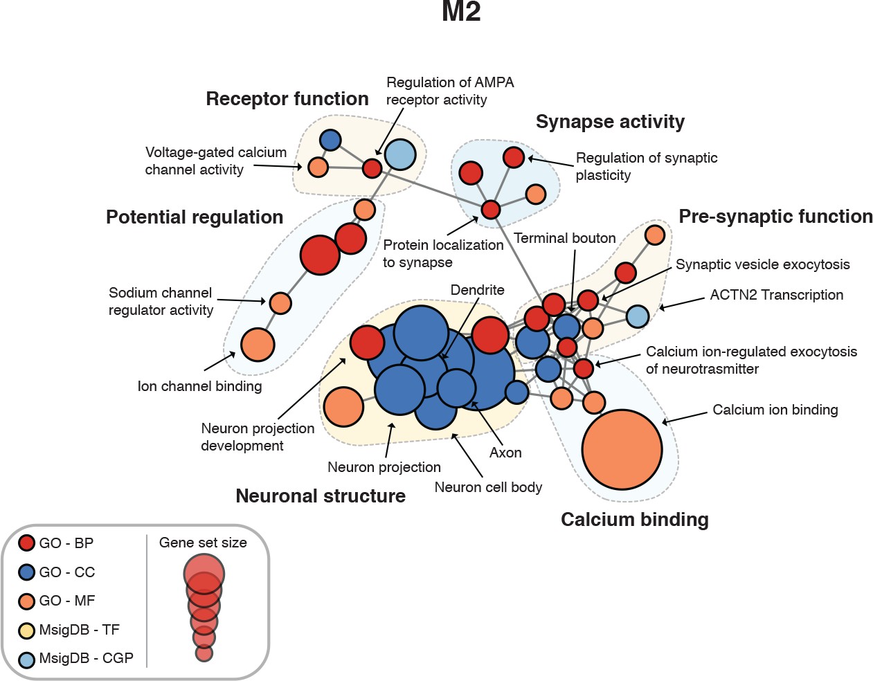 Studies Implicate Early Injury To >> Integrated Systems Analysis Reveals Conserved Gene Networks Studies Implicate Early Injury To >> Integrated Systems Analysis Reveals Conserved Gene Networks