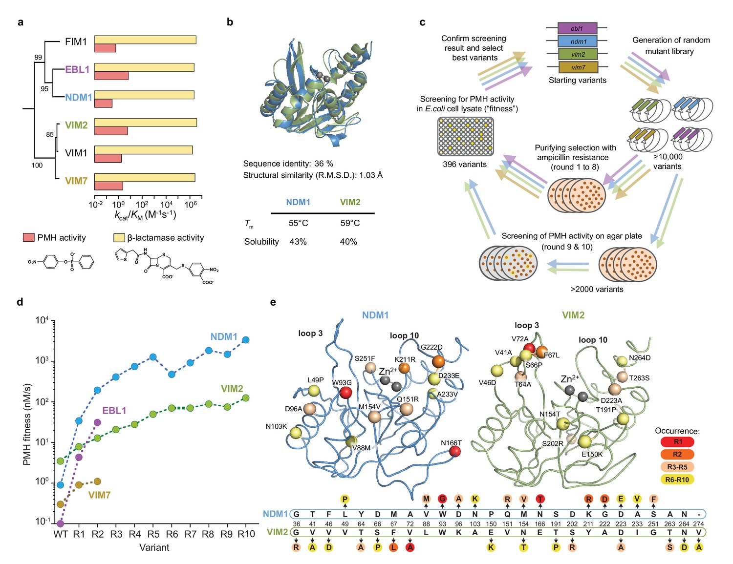 Evolutionary and Adaptive Computing in Engineering Design