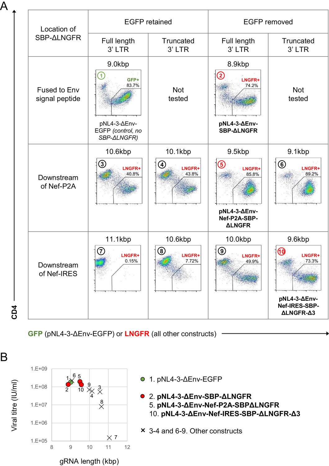 Functional Proteomic Atlas Of Hiv Infection In Primary Human Cd4 T Cells Elife