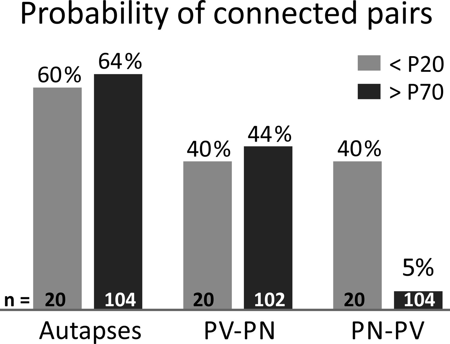 Perineuronal Nets Control Visual Input Via Thalamic Recruitment Of