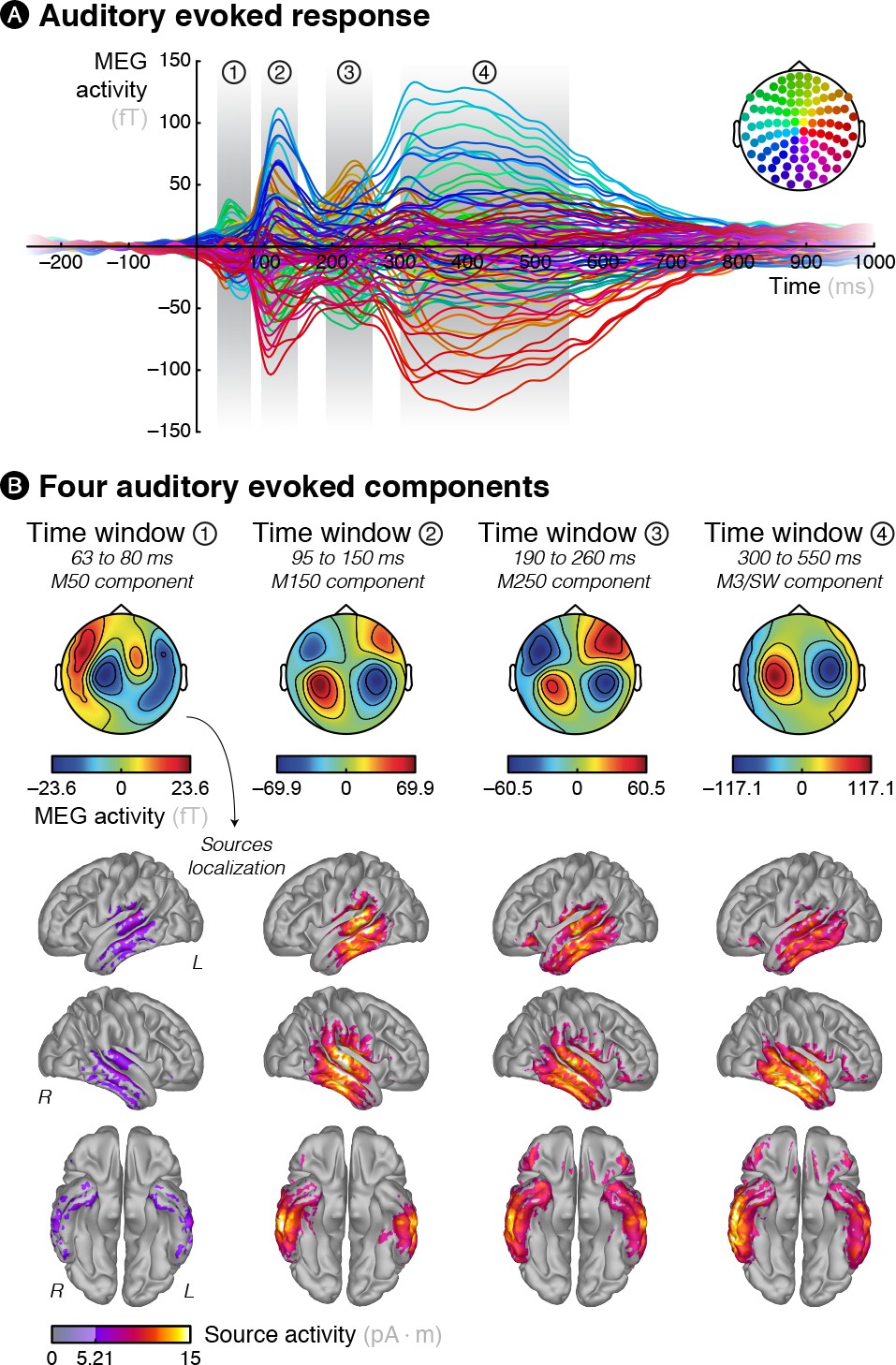 Brain Signatures Of A Multiscale Process Of Sequence Learning In
