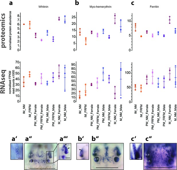 Combined Transcriptome And Proteome Profiling Reveals Specific