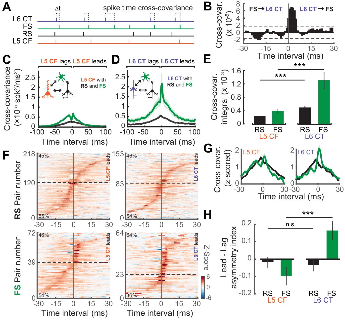 Parallel Pathways For Sound Processing And Functional Connectivity