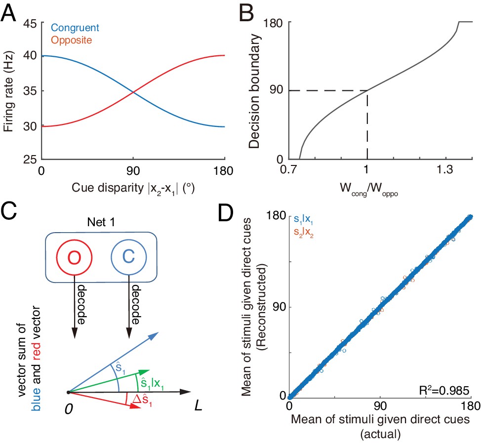 Complementary Congruent And Opposite Neurons Achieve