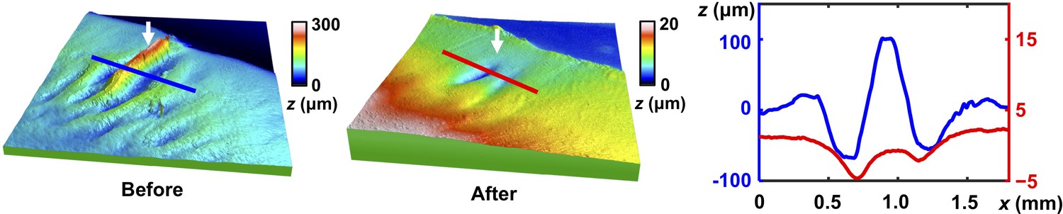Mechanical Instability And Interfacial Energy Drive Biofilm Morphogenesis Elife