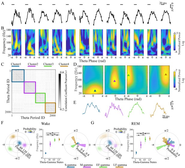 Sub-second Dynamics Of Theta-gamma Coupling In Hippocampal CA1 | ELife