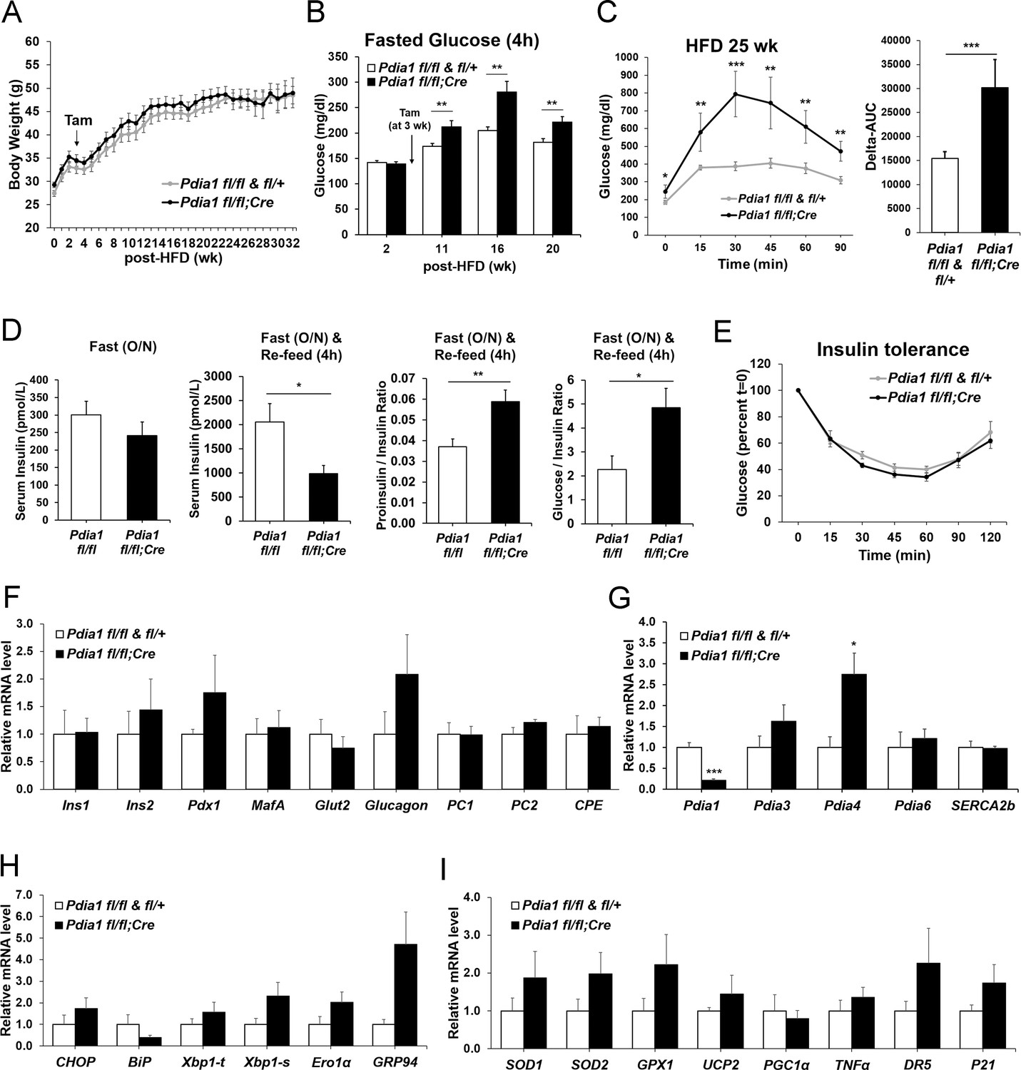 proinsulin high-fat diet t2d mice
