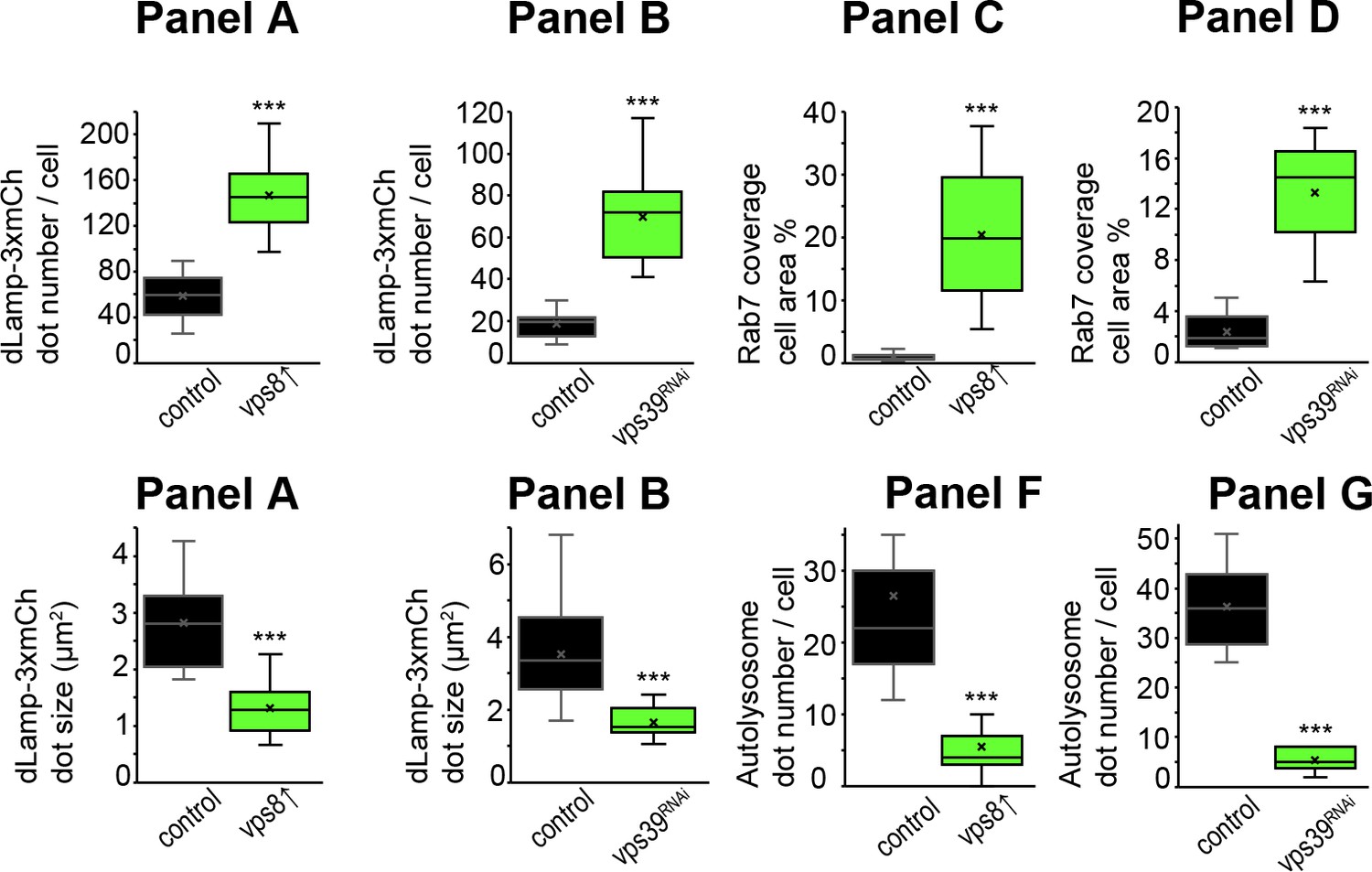 Vps8 Overexpression Inhibits Hops Dependent Trafficking