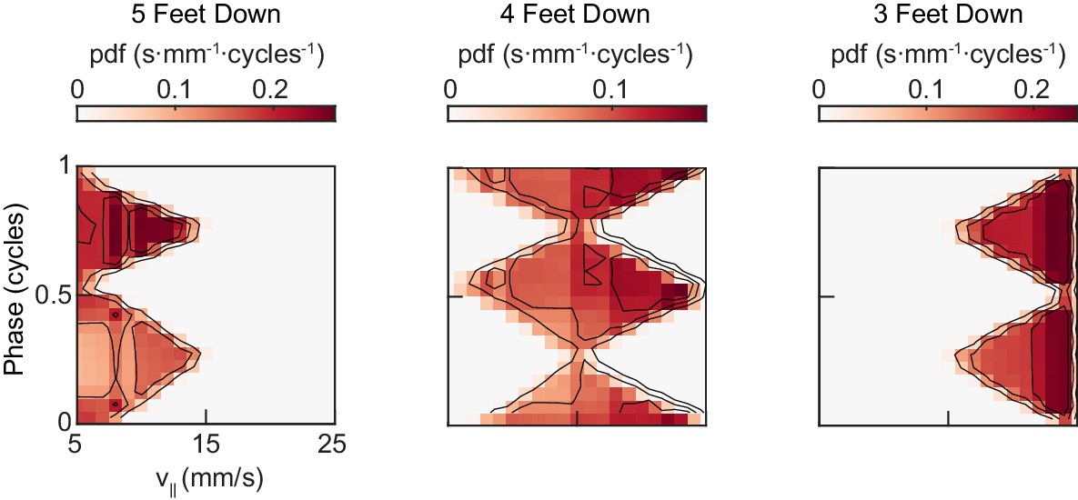 The Manifold Structure Of Limb Coordination In Walking Drosophila