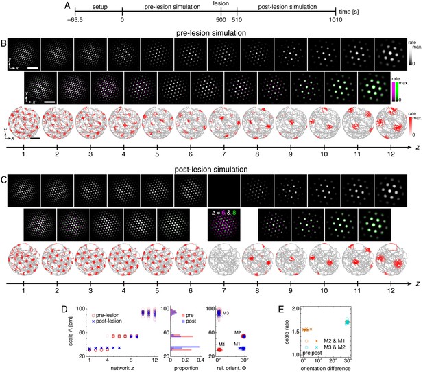 A geometric attractor mechanism for self-organization of ...