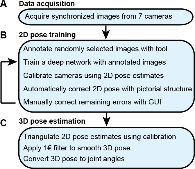 Deepfly3d A Deep Learning Based Approach For 3d Limb And