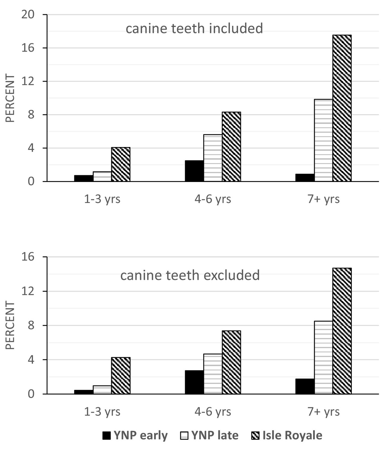 Ferret Dental Chart