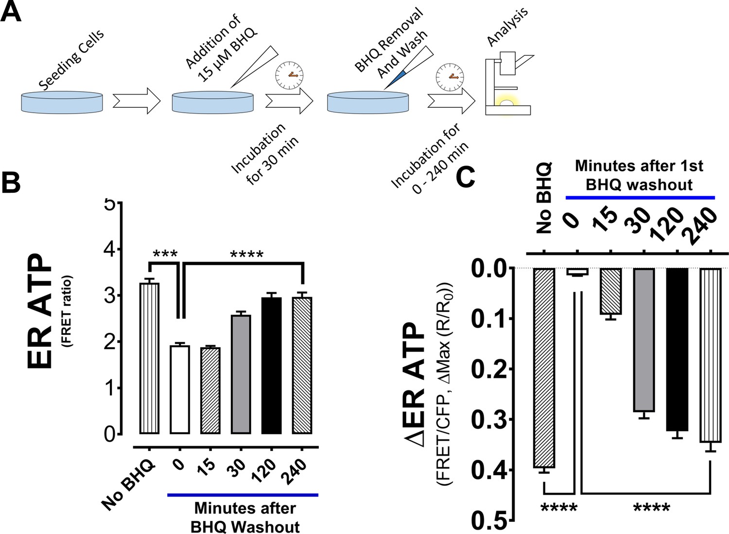 full-form-of-dna-rna-adp-atp-dna-and-rna-ka-full-form-adp-and-atp-ka