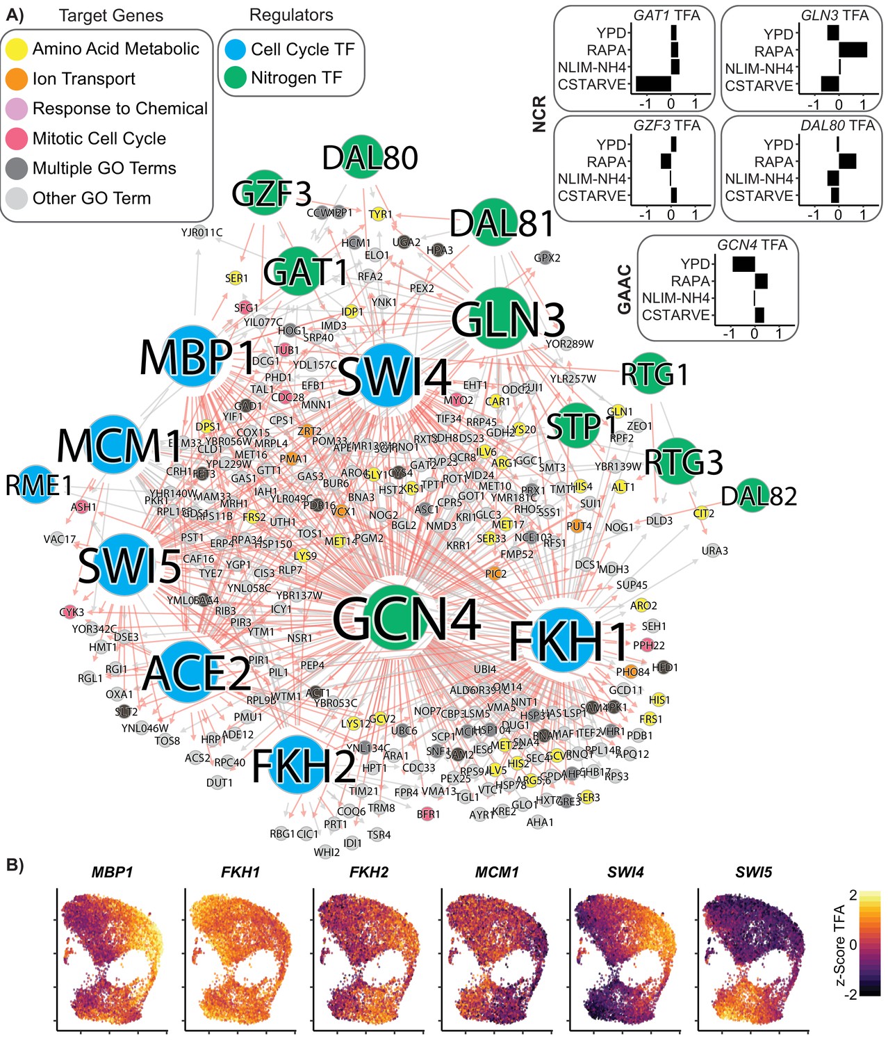 Gene Regulatory Network Reconstruction Using Single Cell Rna Sequencing Of Barcoded Genotypes In