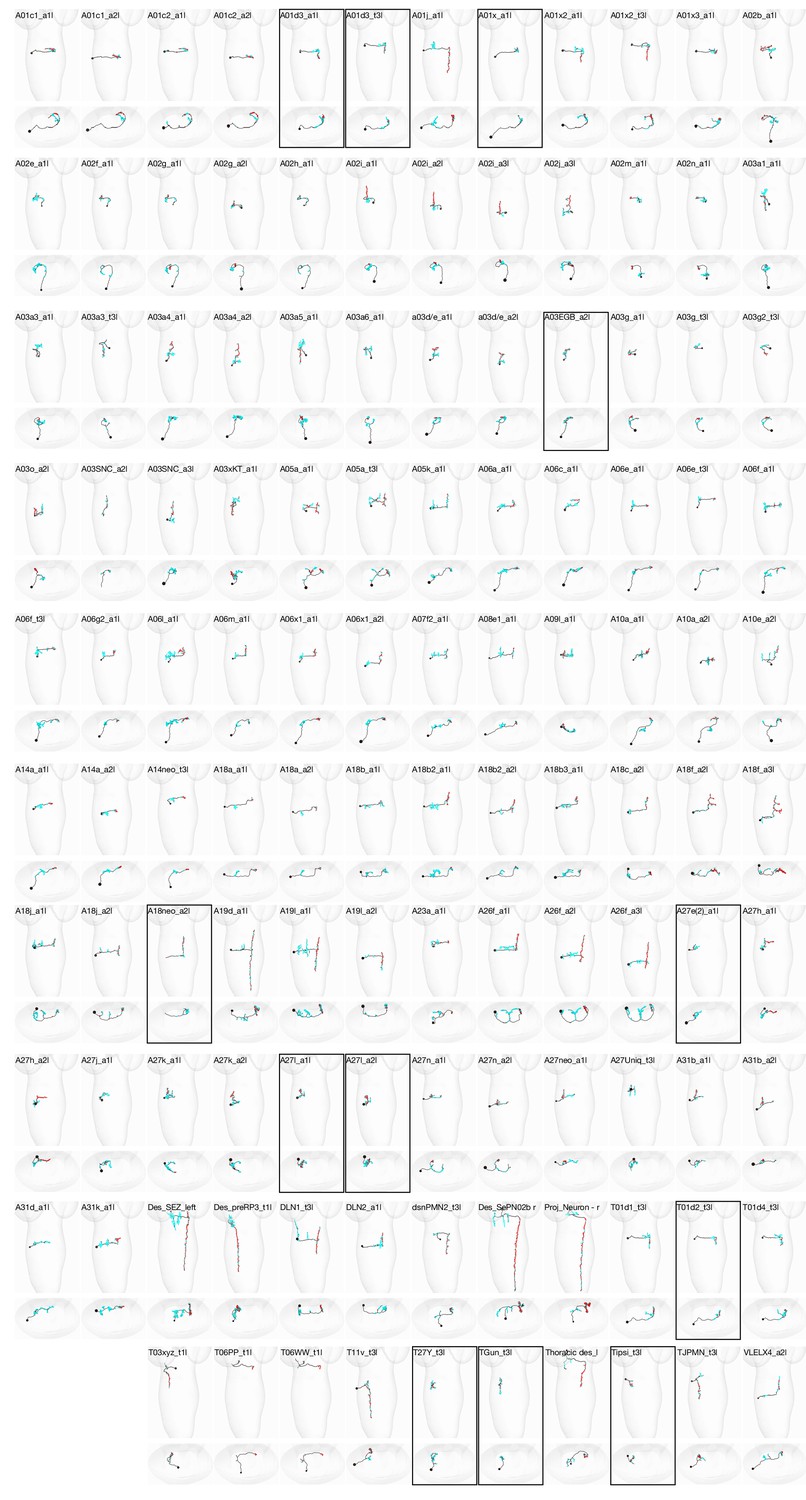 Figures And Data In A Multilayer Circuit Architecture For The Generation Of Distinct Locomotor Behaviors In Drosophila Elife