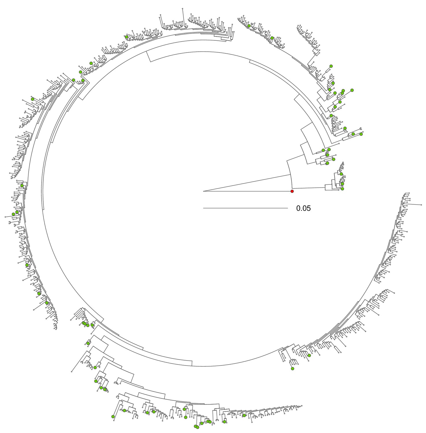 Symptom Evolution Following The Emergence Of Maize Streak Virus Elife